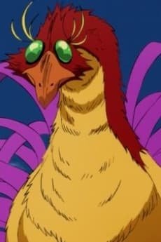 Phoenix  Otoko