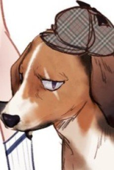Fido