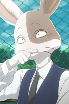 Mizuchi no Kareshi