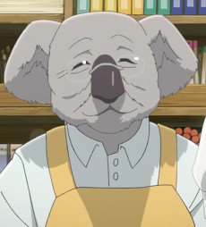 Koala