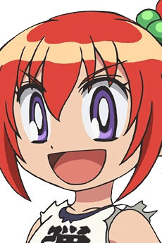 Danko  Ichigeki