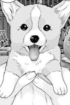 Mochi