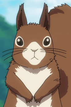Risu