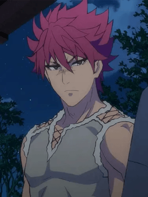 Raiga