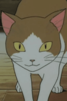 Neko no Miko