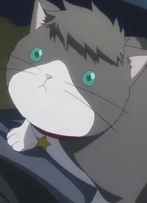 Nyanko  Big