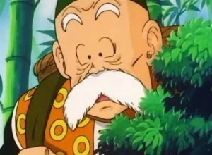 Gohan  Son