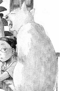 Shachou