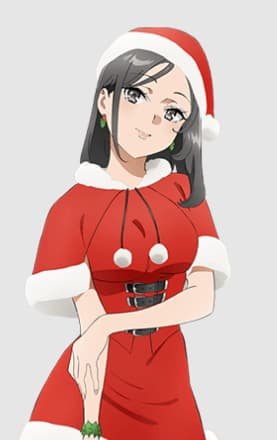 Miniskirt  Santa