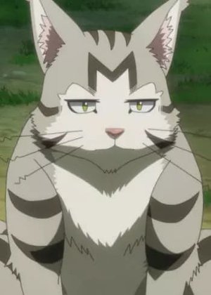 Leo