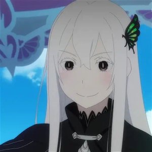 Echidna