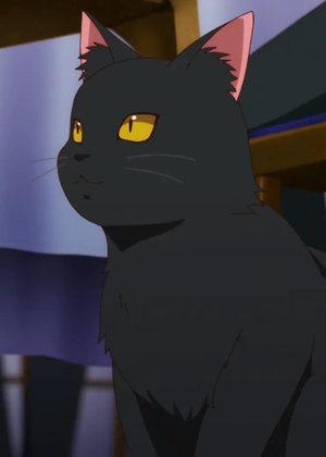 Anko-san