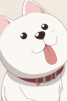 Inu