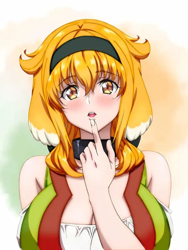 Isekai Meikyuu de Harem wo OVA