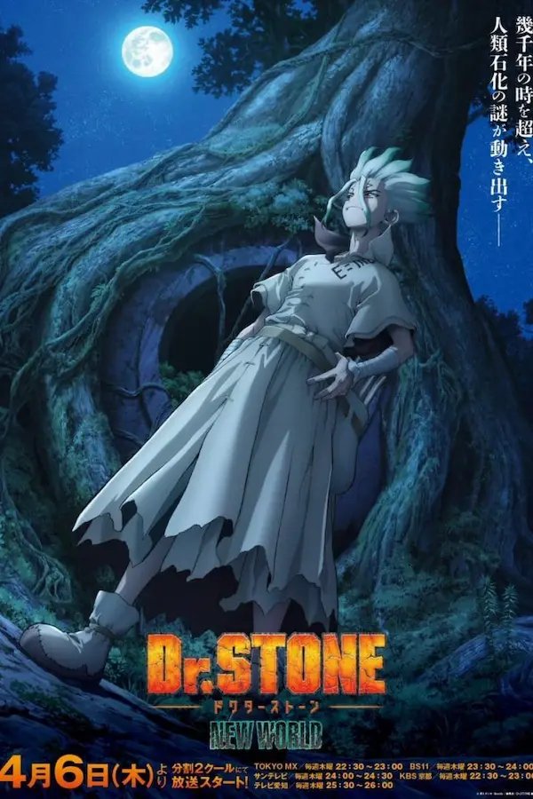 Dr. Stone: New World