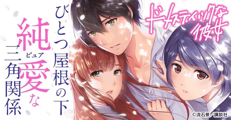 Domestic na Kanojo