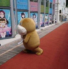 Daiki  Sugiyama