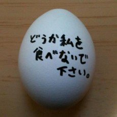 Shichio  Kuzu