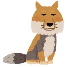 Gingitsune  Ezo
