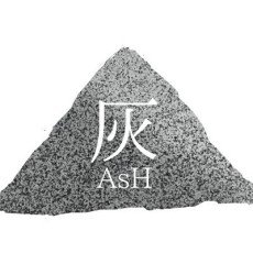 Arata  Hirasaka