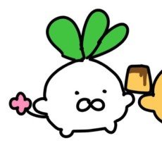 Kogetaokoge