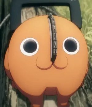 Pochita