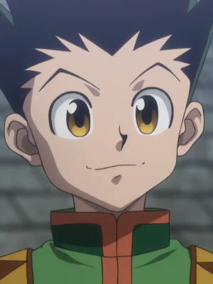 Gon Freecss