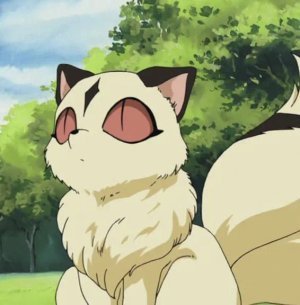 Kirara