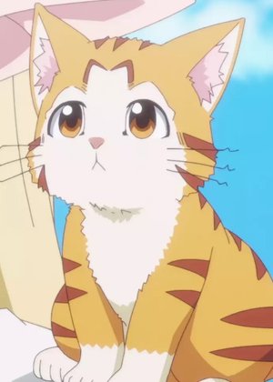 Tama