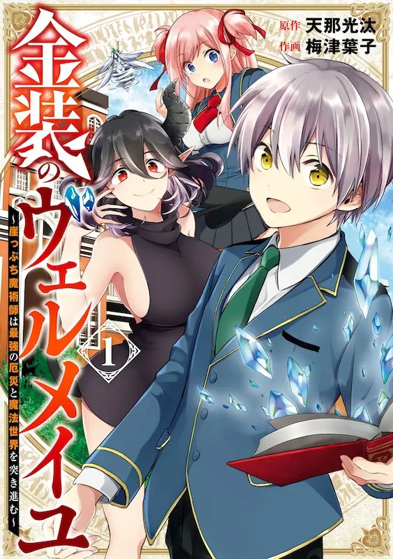 Kinsou no Vermeil: Gakeppuchi Majutsushi wa Saikyou no Yakusai to Mahou Sekai wo Tsuki Susumu