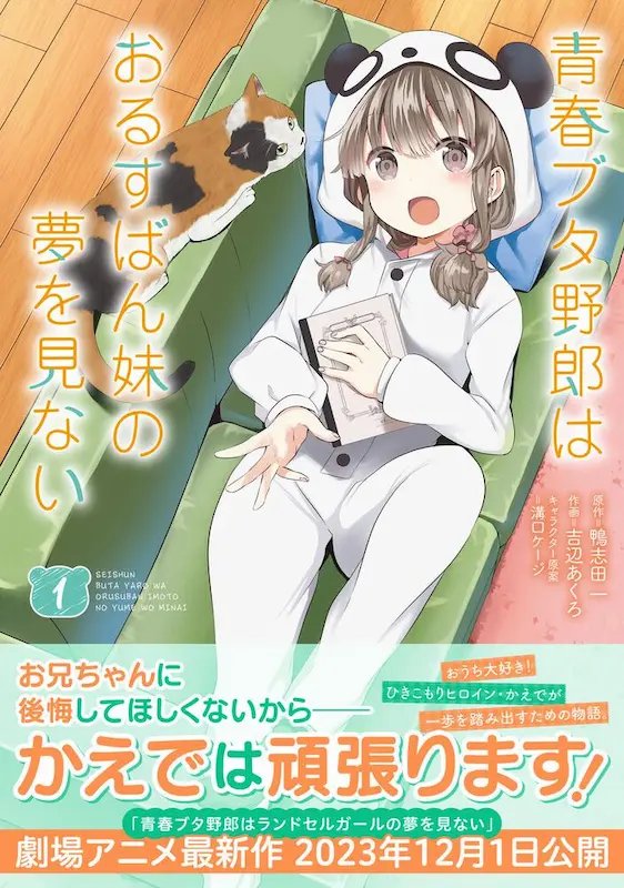 Seishun Buta Yarou wa Orusuban Imouto no Yume wo Minai