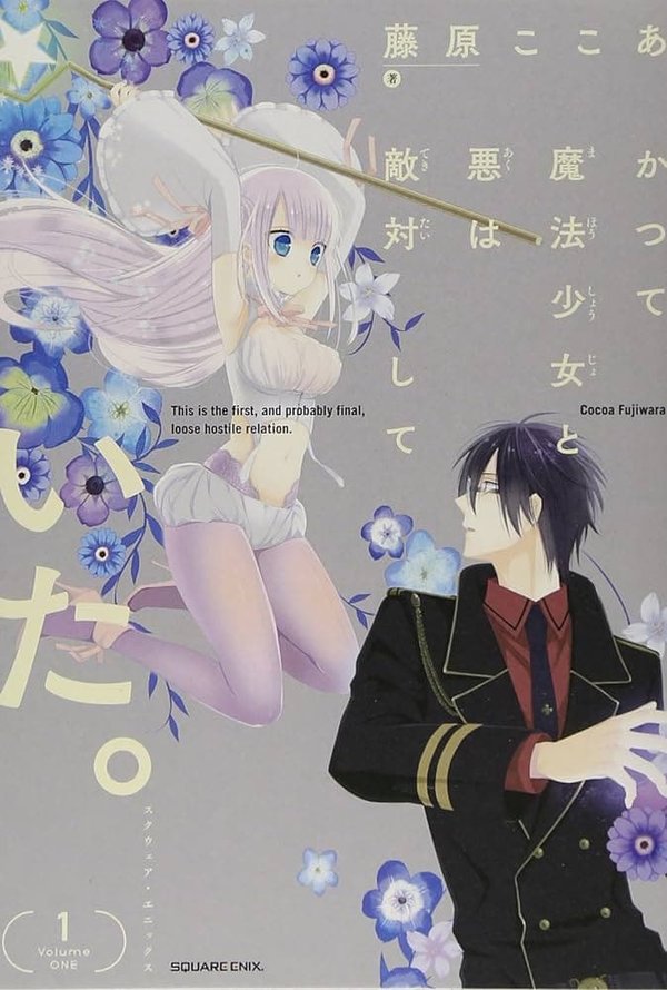 Katsute Mahou Shoujo to Aku wa Tekitai Shite Ita.